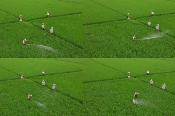 【湖北】农业硼酸采购避坑指南，教你避开劣质硼酸陷阱