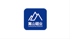 嵩山硼业